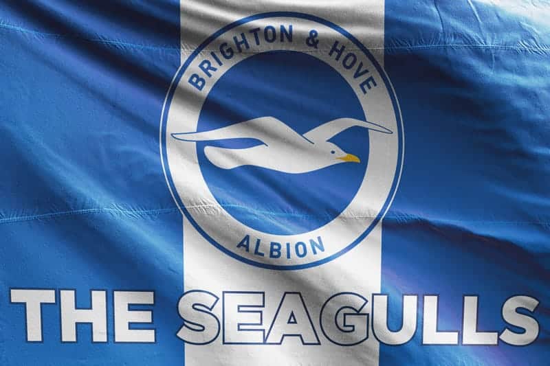 The Seagulls Brighton Hove Albion Fc Flag Unofficial And
